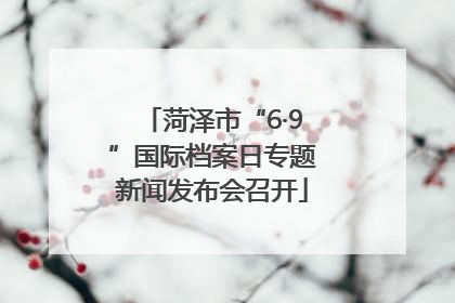 菏泽市“6·9”国际档案日专题新闻发布会召开