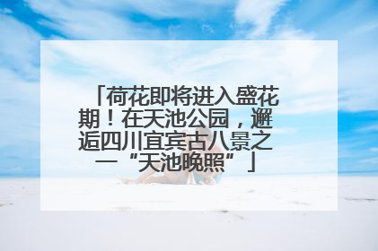 荷花即将进入盛花期！在天池公园，邂逅四川宜宾古八景之一“天池晚照”