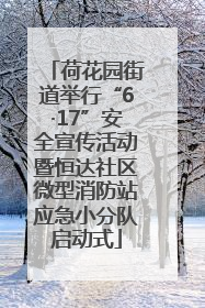 荷花园街道举行“6·17”安全宣传活动暨恒达社区微型消防站应急小分队启动式