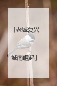 老城复兴 城南崛起