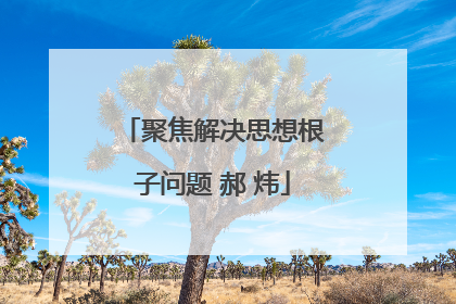 聚焦解决思想根子问题 郝 炜