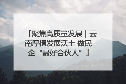 聚焦高质量发展｜云南厚植发展沃土 做民企“最好合伙人”