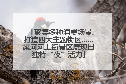 聚集多种消费场景、打造四大主题街区……漯河河上街景区展现出独特“夜”活力