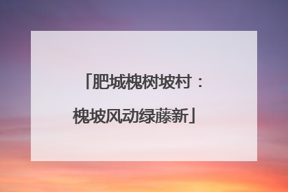肥城槐树坡村：槐坡风动绿藤新
