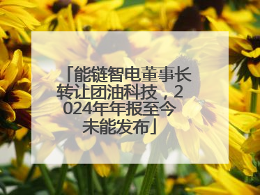 能链智电董事长转让团油科技，2024年年报至今未能发布