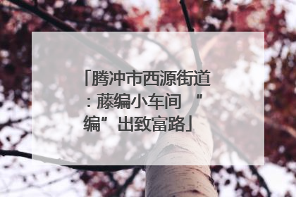 腾冲市西源街道：藤编小车间 “编”出致富路