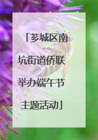 芗城区南坑街道侨联举办端午节主题活动