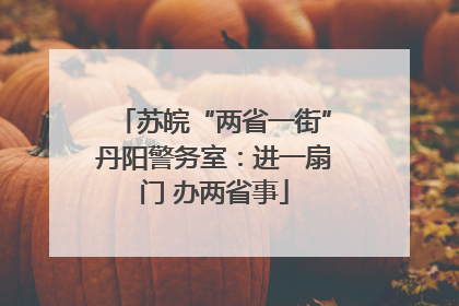 苏皖“两省一街”丹阳警务室：进一扇门 办两省事