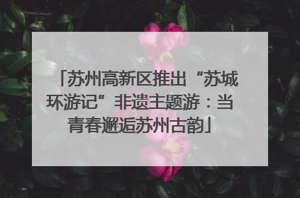苏州高新区推出“苏城环游记”非遗主题游：当青春邂逅苏州古韵