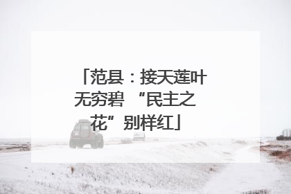 范县：接天莲叶无穷碧 “民主之花”别样红