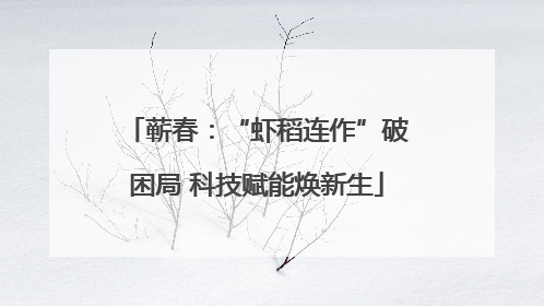 蕲春：“虾稻连作”破困局 科技赋能焕新生