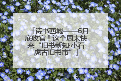 诗书西城——6月底收官！这个周末快来“旧书新知·小石虎古旧书市”