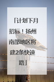 计划下月招标！扬州南部地区将建2条快速路