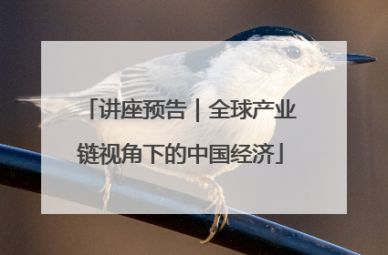 讲座预告｜全球产业链视角下的中国经济