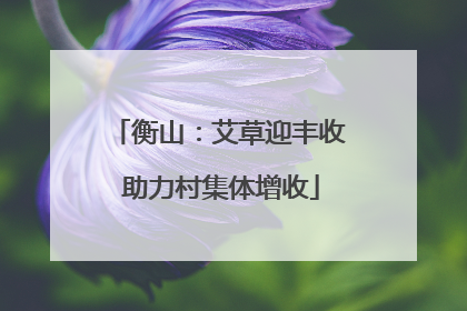 衡山：艾草迎丰收 助力村集体增收