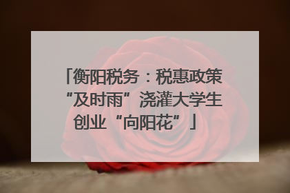 衡阳税务：税惠政策“及时雨”浇灌大学生创业“向阳花”