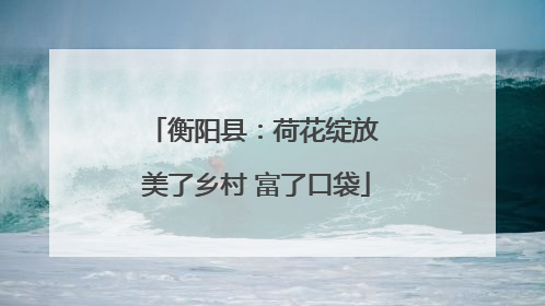 衡阳县：荷花绽放 美了乡村 富了口袋
