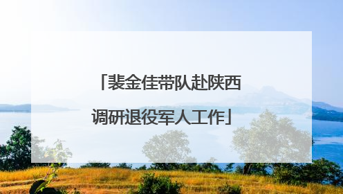 裴金佳带队赴陕西调研退役军人工作