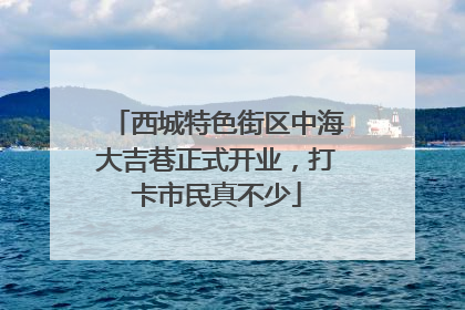 西城特色街区中海大吉巷正式开业，打卡市民真不少