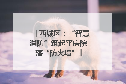西城区：“智慧消防”筑起平房院落“防火墙”