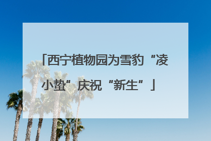西宁植物园为雪豹“凌小蛰”庆祝“新生”