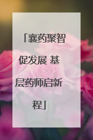 襄药聚智促发展 基层药师启新程