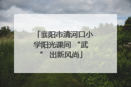 襄阳市清河口小学阳光课间 “武” 出新风尚