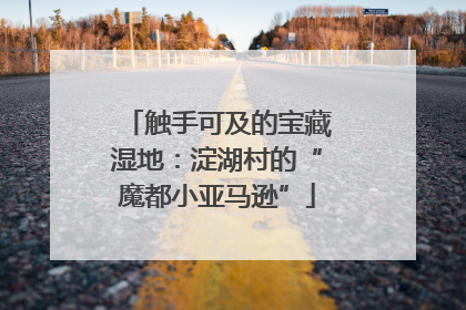 触手可及的宝藏湿地：淀湖村的“魔都小亚马逊”