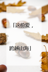 这份爱，跨越山海