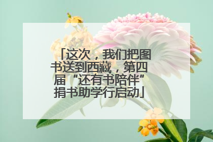 这次，我们把图书送到西藏，第四届“还有书陪伴”捐书助学行启动