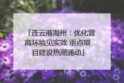 连云港海州：优化营商环境见实效 重点项目建设热潮涌动