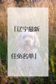 辽宁最新任免名单