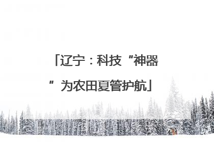 辽宁：科技“神器”为农田夏管护航