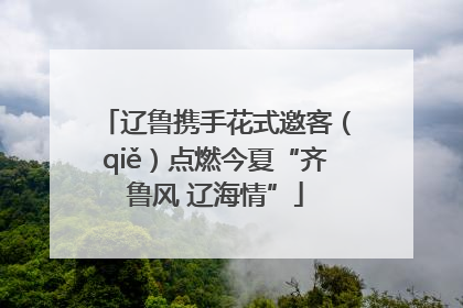 辽鲁携手花式邀客（qiě）点燃今夏“齐鲁风 辽海情”