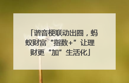 谐音梗联动出圈，蚂蚁财富“指数+”让理财更“加”生活化