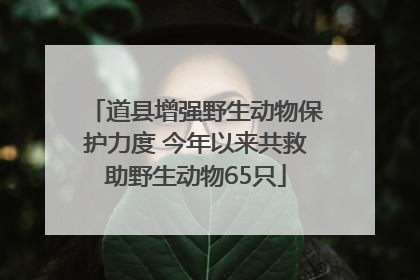 道县增强野生动物保护力度 今年以来共救助野生动物65只