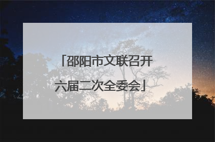 邵阳市文联召开六届二次全委会