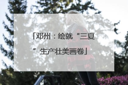 邓州：绘就“三夏”生产壮美画卷