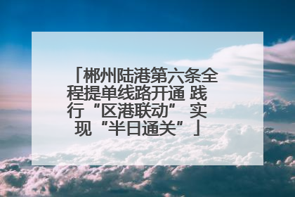 郴州陆港第六条全程提单线路开通 践行“区港联动” 实现“半日通关”