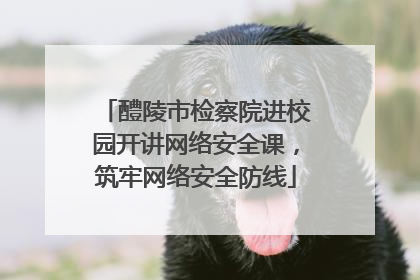 醴陵市检察院进校园开讲网络安全课，筑牢网络安全防线