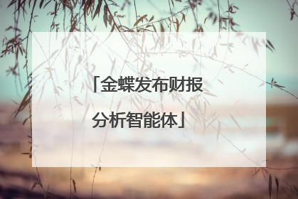 金蝶发布财报分析智能体