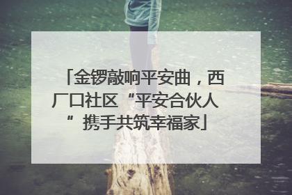 金锣敲响平安曲，西厂口社区“平安合伙人”携手共筑幸福家