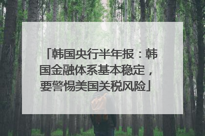韩国央行半年报：韩国金融体系基本稳定，要警惕美国关税风险