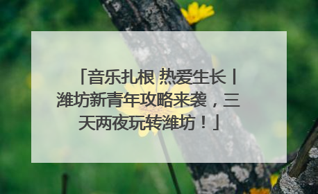 音乐扎根 热爱生长丨潍坊新青年攻略来袭，三天两夜玩转潍坊！