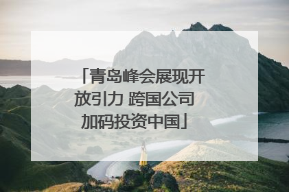 青岛峰会展现开放引力 跨国公司加码投资中国