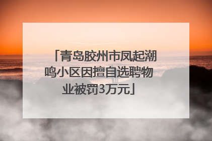 青岛胶州市凤起潮鸣小区因擅自选聘物业被罚3万元