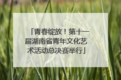 青春绽放！第十一届湖南省青年文化艺术活动总决赛举行