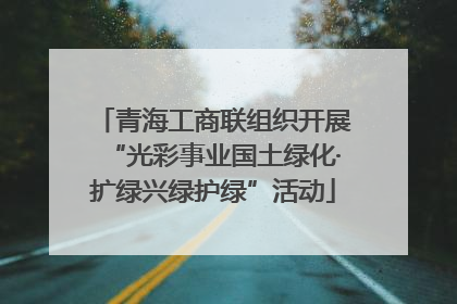 青海工商联组织开展“光彩事业国土绿化·扩绿兴绿护绿”活动