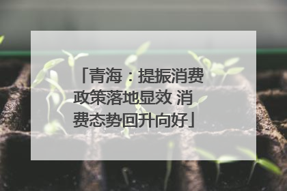 青海：提振消费政策落地显效 消费态势回升向好
