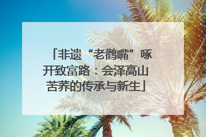 非遗“老鹳嘴”啄开致富路：会泽高山苦荞的传承与新生